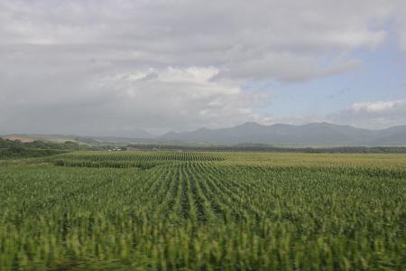 100810-31.jpg