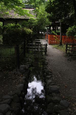 110612_25.jpg