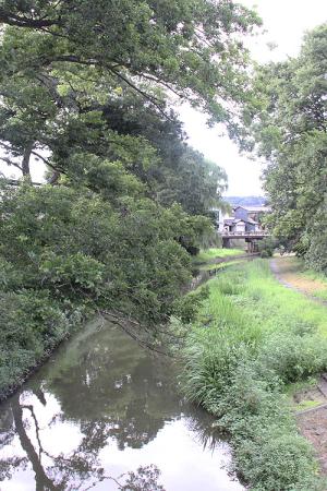 110824_17.jpg