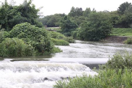 110824_27.jpg