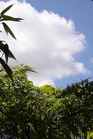 120822_2.jpg