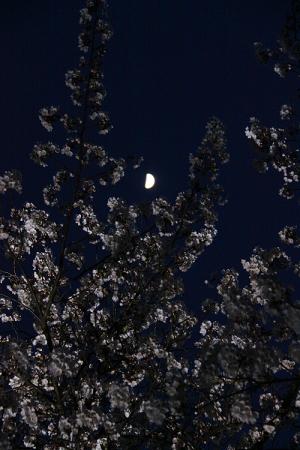 140408_15.jpg