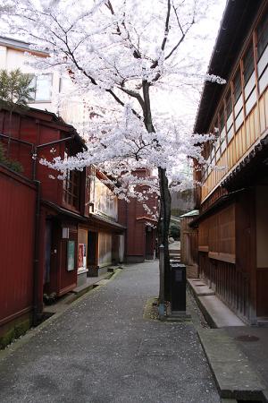 140408_26.jpg