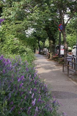 140525_2.jpg