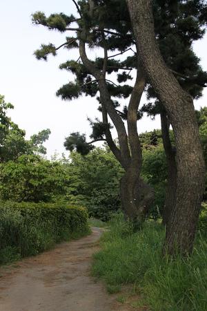 140525_3.jpg