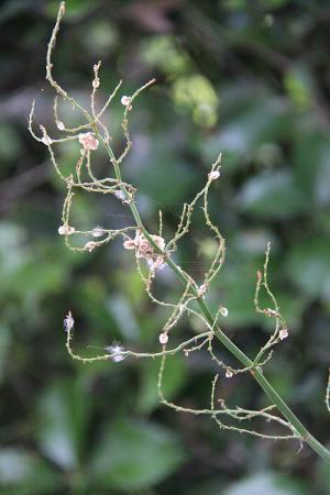 140525_7.jpg