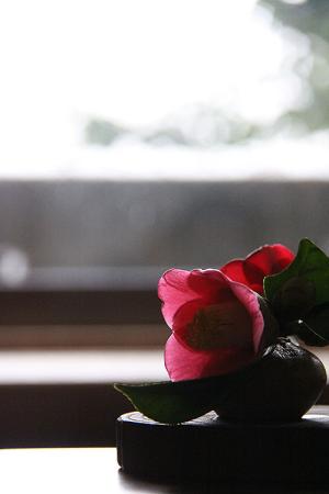 190129_1.jpg